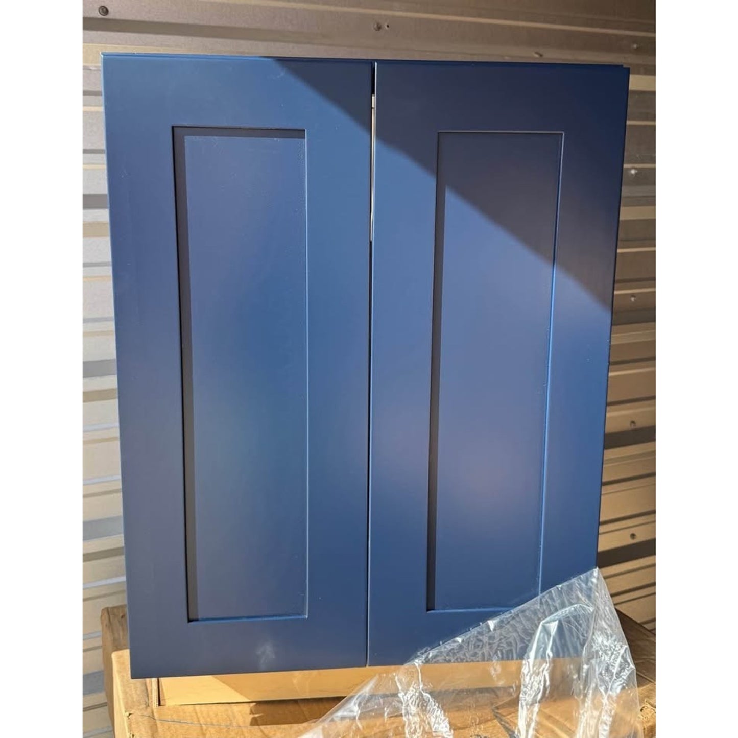 Home Decorators Collection Newport 24 in. W Assembled Plywood Wall Cabinet