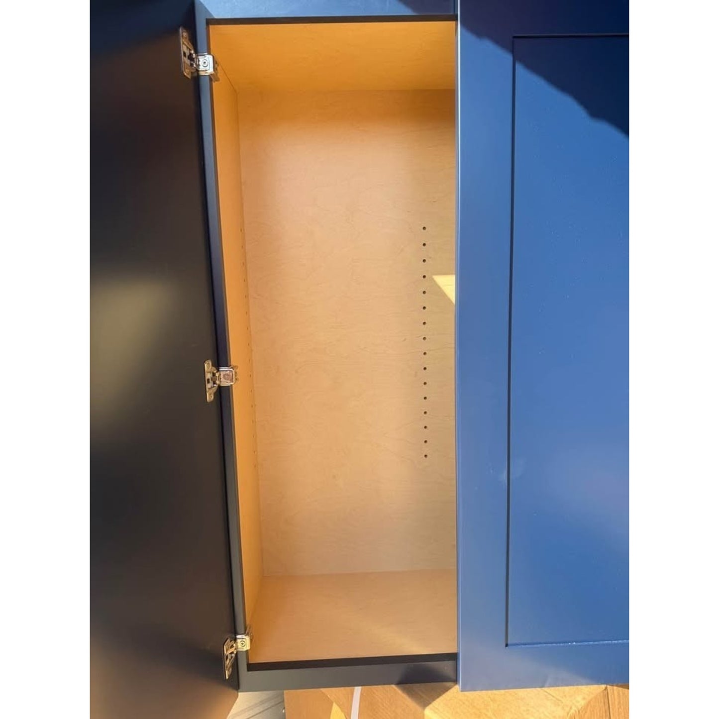 Home Decorators Collection Newport 30 in. W Assembled Plywood Wall Cabinet