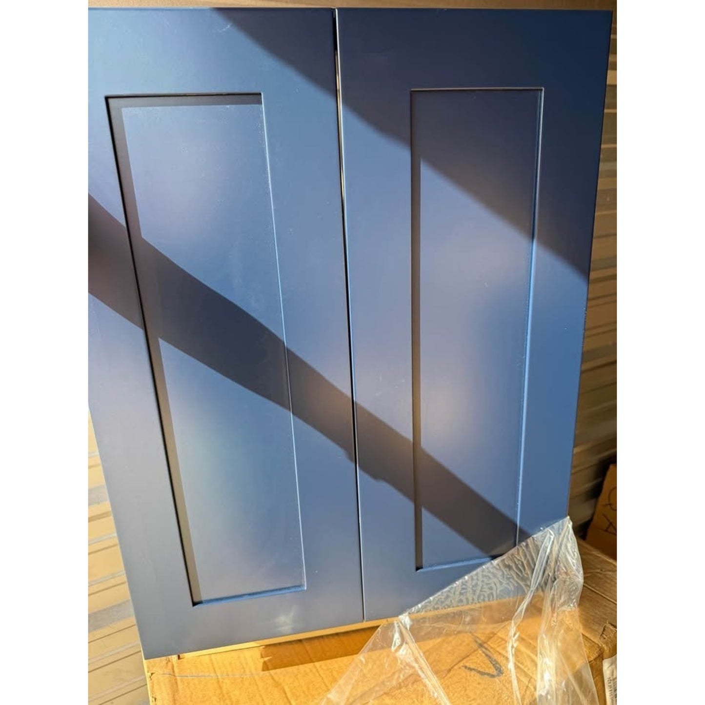 Home Decorators Collection Newport 24 in. W Assembled Plywood Wall Cabinet
