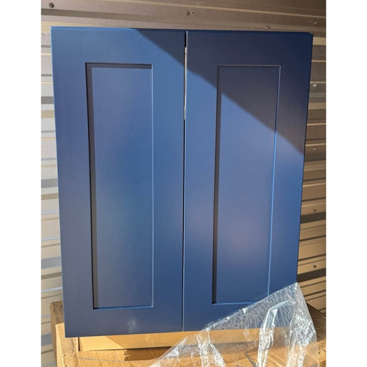 Home Decorators Collection Newport 24 in. W Assembled Plywood Wall Cabinet