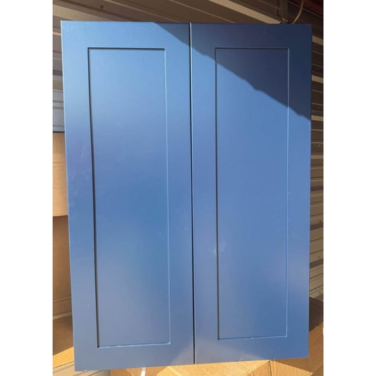 Home Decorators Collection Newport 30 in. W Assembled Plywood Wall Cabinet